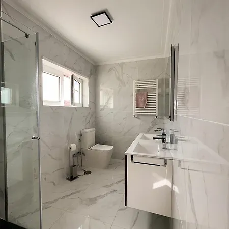 Villa Spacious In Nova De Gaia