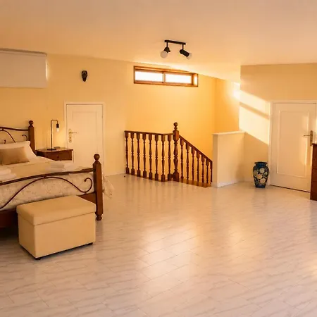 别墅 Spacious Near Porto - Bbq And Private Parking 加亚新城